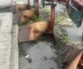 Другая Другая, объемом двигателя 0 л и пробегом 0 тыс. км за 5000 $, фото 5 на Automoto.ua