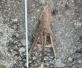 Другая Другая, объемом двигателя 0 л и пробегом 0 тыс. км за 13 $, фото 3 на Automoto.ua