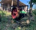 Інша Інша, об'ємом двигуна 0 л та пробігом 0 тис. км за 979 $, фото 1 на Automoto.ua