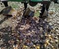 Другая Другая, объемом двигателя 0 л и пробегом 0 тыс. км за 496 $, фото 1 на Automoto.ua