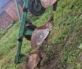 Другая Другая, объемом двигателя 0 л и пробегом 0 тыс. км за 339 $, фото 7 на Automoto.ua