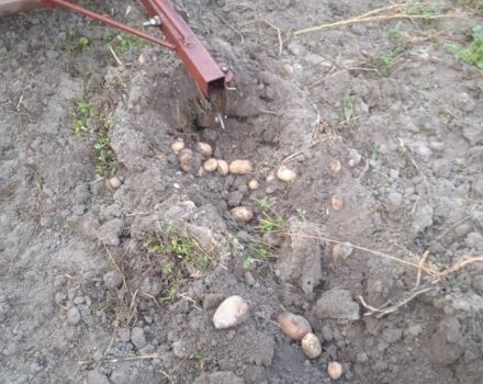 Другая Другая, объемом двигателя 0 л и пробегом 0 тыс. км за 61 $, фото 3 на Automoto.ua