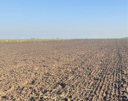 Інша Інша, об'ємом двигуна 0 л та пробігом 0 тис. км за 1800 $, фото 7 на Automoto.ua