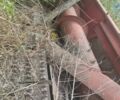 Другая Другая, объемом двигателя 0 л и пробегом 0 тыс. км за 481 $, фото 3 на Automoto.ua