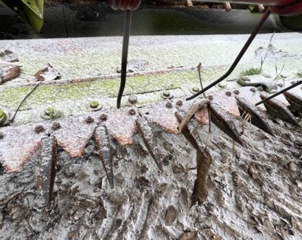 Інша Інша, об'ємом двигуна 0 л та пробігом 0 тис. км за 4500 $, фото 7 на Automoto.ua