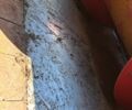 Другая Другая, объемом двигателя 0 л и пробегом 0 тыс. км за 11500 $, фото 5 на Automoto.ua