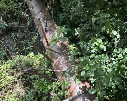 Другая Другая, объемом двигателя 0 л и пробегом 0 тыс. км за 729 $, фото 1 на Automoto.ua