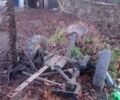 Другая Другая, объемом двигателя 0 л и пробегом 0 тыс. км за 6000 $, фото 1 на Automoto.ua