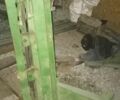 Другая Інша, об'ємом двигуна 0 л та пробігом 0 тис. км за 1800 $, фото 3 на Automoto.ua