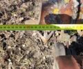 Другая Другая, объемом двигателя 0 л и пробегом 0 тыс. км за 18000 $, фото 5 на Automoto.ua