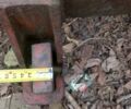 Другая Другая, объемом двигателя 0 л и пробегом 0 тыс. км за 2000 $, фото 4 на Automoto.ua