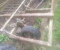 Другая Другая, объемом двигателя 0 л и пробегом 0 тыс. км за 400 $, фото 3 на Automoto.ua