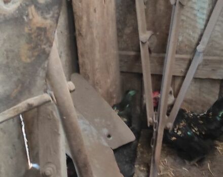 Другая Другая, объемом двигателя 0 л и пробегом 0 тыс. км за 18000 $, фото 6 на Automoto.ua