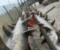 Другая Другая, объемом двигателя 0 л и пробегом 0 тыс. км за 6000 $, фото 1 на Automoto.ua