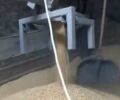 Другая Другая, объемом двигателя 0 л и пробегом 0 тыс. км за 1105 $, фото 6 на Automoto.ua