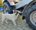 Другая Другая, объемом двигателя 1246 л и пробегом 1 тыс. км за 2849 $, фото 11 на Automoto.ua
