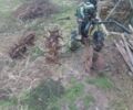 Другая Другая, объемом двигателя 0 л и пробегом 0 тыс. км за 17000 $, фото 4 на Automoto.ua