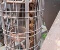 Другая Другая, объемом двигателя 0 л и пробегом 0 тыс. км за 12000 $, фото 9 на Automoto.ua