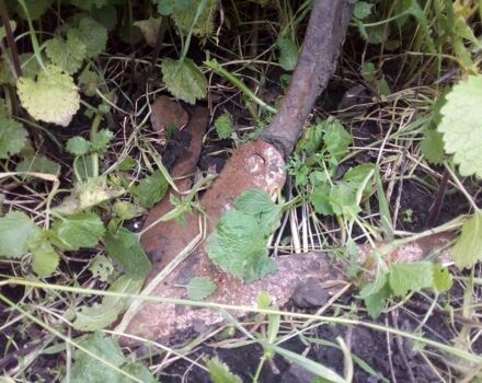 Другая Другая, объемом двигателя 0 л и пробегом 0 тыс. км за 1063 $, фото 2 на Automoto.ua