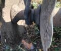 Другая Другая, объемом двигателя 0 л и пробегом 0 тыс. км за 961 $, фото 3 на Automoto.ua