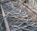 Другая Другая, объемом двигателя 0 л и пробегом 0 тыс. км за 16000 $, фото 2 на Automoto.ua
