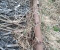 Другая Другая, объемом двигателя 0 л и пробегом 0 тыс. км за 16000 $, фото 1 на Automoto.ua