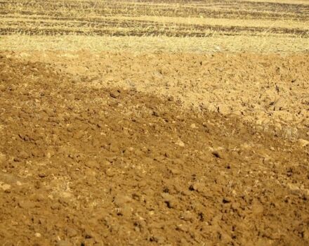 Другая Інша, об'ємом двигуна 0 л та пробігом 0 тис. км за 495000 $, фото 5 на Automoto.ua