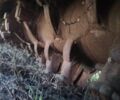Другая Другая, объемом двигателя 0 л и пробегом 0 тыс. км за 28500 $, фото 5 на Automoto.ua