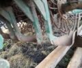 Другая Інша, об'ємом двигуна 0 л та пробігом 0 тис. км за 2800 $, фото 6 на Automoto.ua
