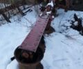Другая Другая, объемом двигателя 0 л и пробегом 0 тыс. км за 600 $, фото 2 на Automoto.ua
