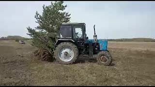 Другая Другая 2023 в Луцке на Automoto.ua Другая Другая, объемом двигателя 0 л и пробегом 0 тыс. км за 34900 $, фото 1 на Automoto.ua