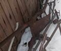 Другая Другая, объемом двигателя 0 л и пробегом 0 тыс. км за 2500 $, фото 1 на Automoto.ua