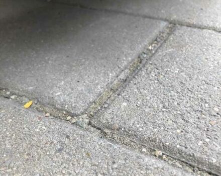 Інша Megane Scenic, об'ємом двигуна 6 л та пробігом 0 тис. км за 2611 $, фото 7 на Automoto.ua