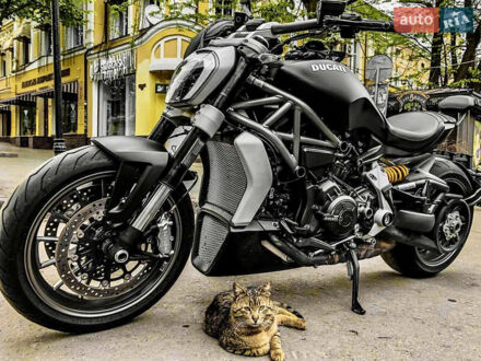 Дукати XDiavel 2016 в Одессе на Automoto.ua Черный Дукати XDiavel, объемом двигателя 1.26 л и пробегом 25 тыс. км за 18500 $, фото 1 на Automoto.ua