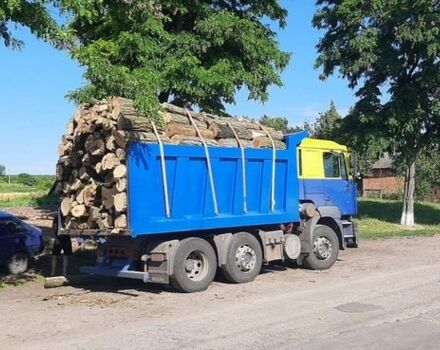 Синій ЕРФ ECS, об'ємом двигуна 11 л та пробігом 600 тис. км за 18500 $, фото 2 на Automoto.ua