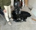 Чорний Енерджи E290, об'ємом двигуна 0 л та пробігом 1 тис. км за 1453 $, фото 7 на Automoto.ua