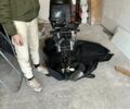 Черный Энерджи E290, объемом двигателя 0 л и пробегом 1 тыс. км за 1557 $, фото 7 на Automoto.ua