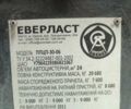 Эверласт ППЦ, объемом двигателя 0 л и пробегом 100 тыс. км за 19500 $, фото 3 на Automoto.ua