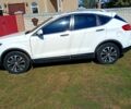 Білий ФАВ X80, об'ємом двигуна 2 л та пробігом 65 тис. км за 13000 $, фото 1 на Automoto.ua