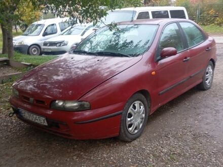 Фіат Браво 1996 у Бориславе на Automoto.ua Червоний Фіат Браво, об'ємом двигуна 1.4 л та пробігом 313 тис. км за 2000 $, фото 1 на Automoto.ua