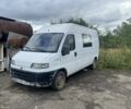 Белый Фиат Дукато, объемом двигателя 2.5 л и пробегом 250 тыс. км за 1496 $, фото 1 на Automoto.ua