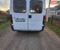 Белый Фиат Дукато, объемом двигателя 2.8 л и пробегом 234 тыс. км за 1700 $, фото 3 на Automoto.ua