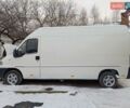 Белый Фиат Дукато, объемом двигателя 2.8 л и пробегом 450 тыс. км за 4400 $, фото 1 на Automoto.ua