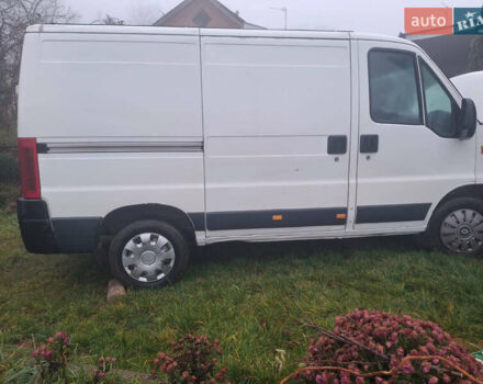 Білий Фіат Дукато, об'ємом двигуна 2.3 л та пробігом 500 тис. км за 2800 $, фото 1 на Automoto.ua