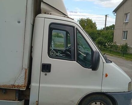 Белый Фиат Дукато, объемом двигателя 2.8 л и пробегом 500 тыс. км за 3000 $, фото 1 на Automoto.ua