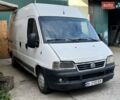 Белый Фиат Дукато, объемом двигателя 2.8 л и пробегом 324 тыс. км за 3200 $, фото 1 на Automoto.ua