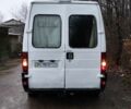 Белый Фиат Дукато, объемом двигателя 2.3 л и пробегом 420 тыс. км за 2500 $, фото 4 на Automoto.ua