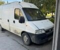 Белый Фиат Дукато, объемом двигателя 2.8 л и пробегом 38 тыс. км за 2300 $, фото 1 на Automoto.ua