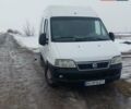 Білий Фіат Дукато, об'ємом двигуна 2.8 л та пробігом 300 тис. км за 5800 $, фото 1 на Automoto.ua