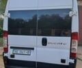 Белый Фиат Дукато, объемом двигателя 2.5 л и пробегом 400 тыс. км за 7700 $, фото 5 на Automoto.ua